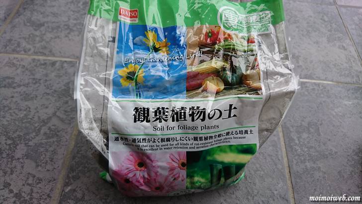 サンスベリア(トラノオ)_土