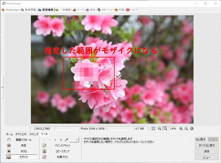 photoScape-モザイク